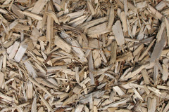 biomass boilers Lupton